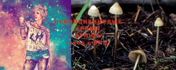 марихуана Гусиноозёрск