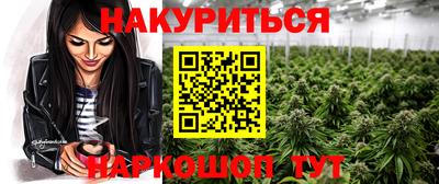 крисы Будённовск