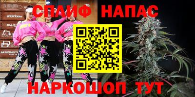 крисы Будённовск