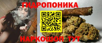 крисы Будённовск