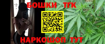 крисы Будённовск