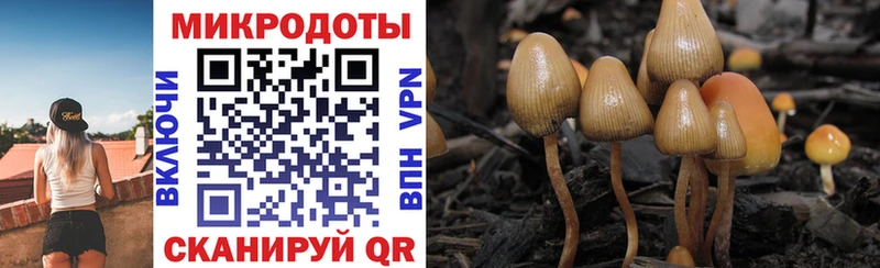хочу   Гуково  Псилоцибиновые грибы прущие грибы 