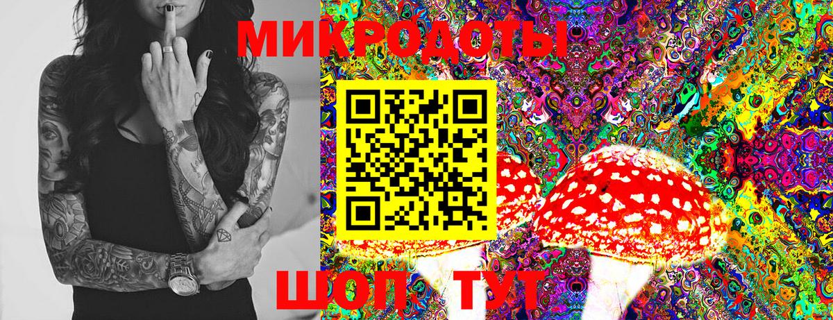 Псилоцибиновые грибы Psilocybine cubensis Гуково