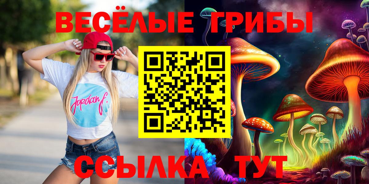 Галлюциногенные грибы GOLDEN TEACHER  Гуково  Галлюциногенные грибы Cubensis 