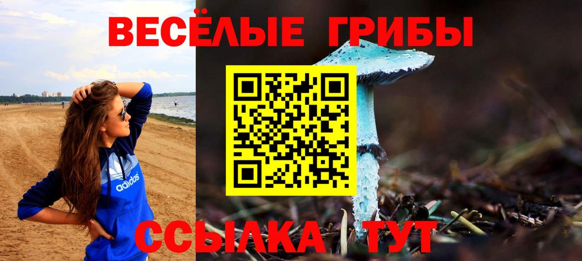 Галлюциногенные грибы мухоморы Гуково